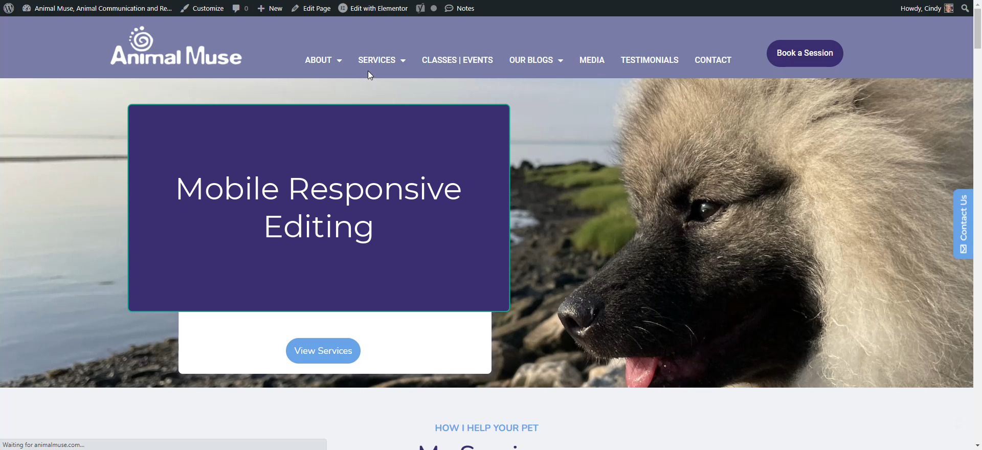 Mobile Responsive Editing