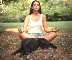10 Pet Problems Meditation Can Solve