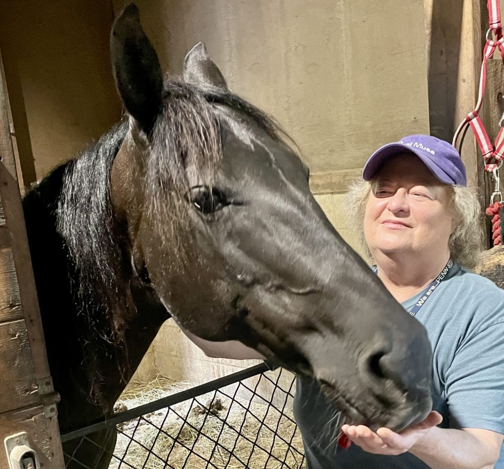 Cathy offering Reiki to a black horse