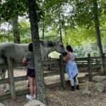 Women sharing Reiki with rescued horse
