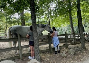 Women sharing Reiki with rescued horse