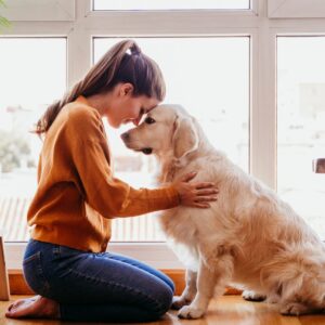 7 Guiding Principles of Animal Communication